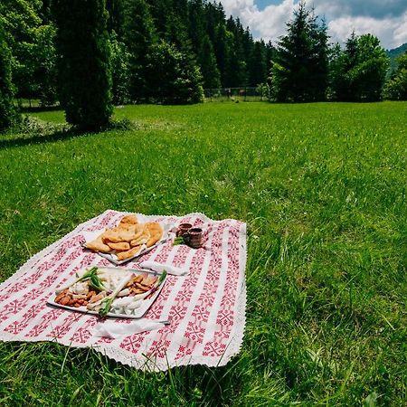 Hotel Casute Valea Zanelor Covasna Zewnętrze zdjęcie