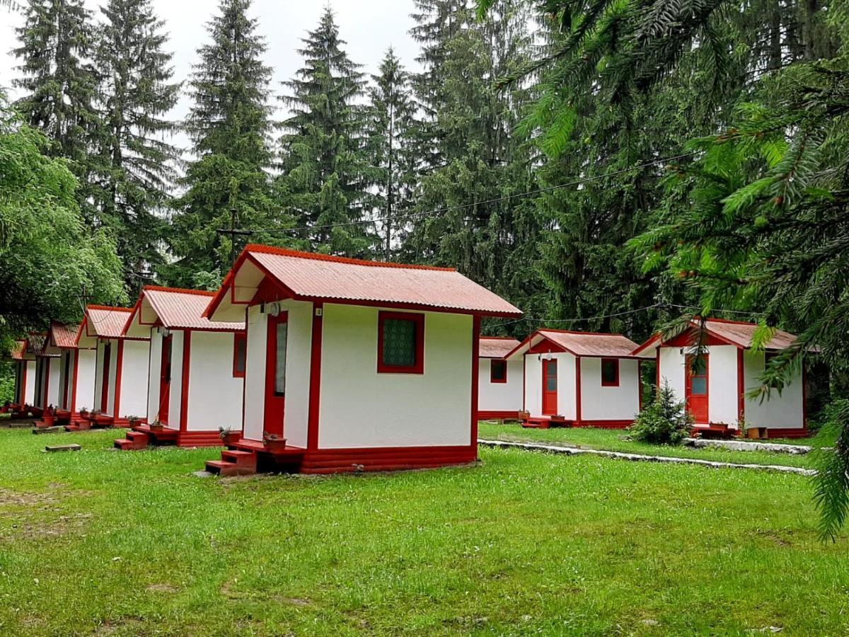 Hotel Casute Valea Zanelor Covasna Zewnętrze zdjęcie
