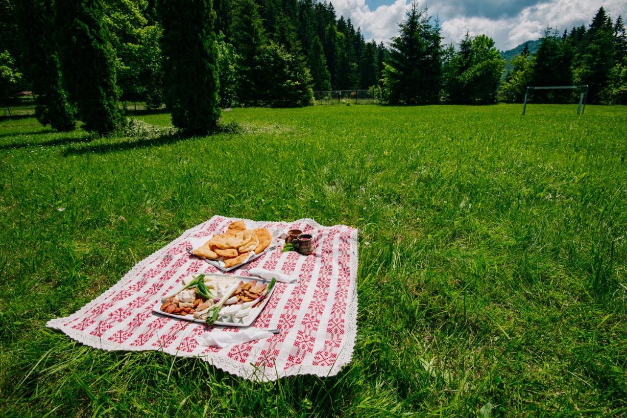 Hotel Casute Valea Zanelor Covasna Zewnętrze zdjęcie