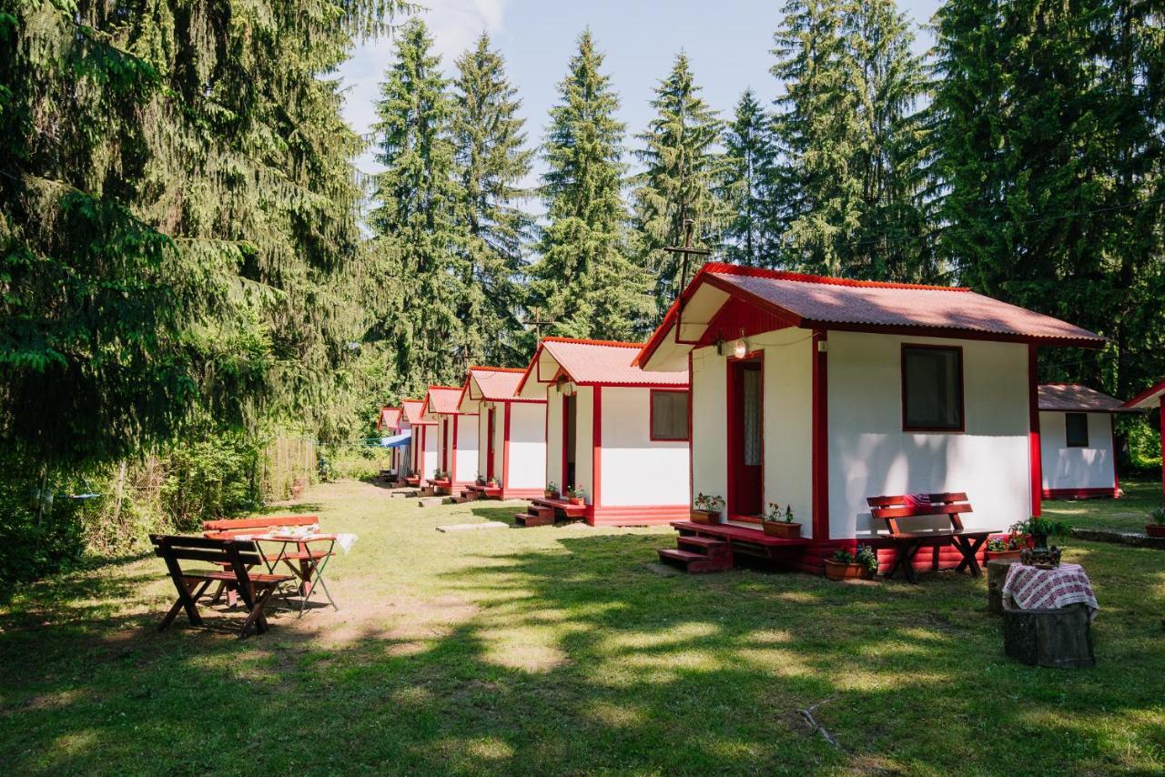 Hotel Casute Valea Zanelor Covasna Zewnętrze zdjęcie